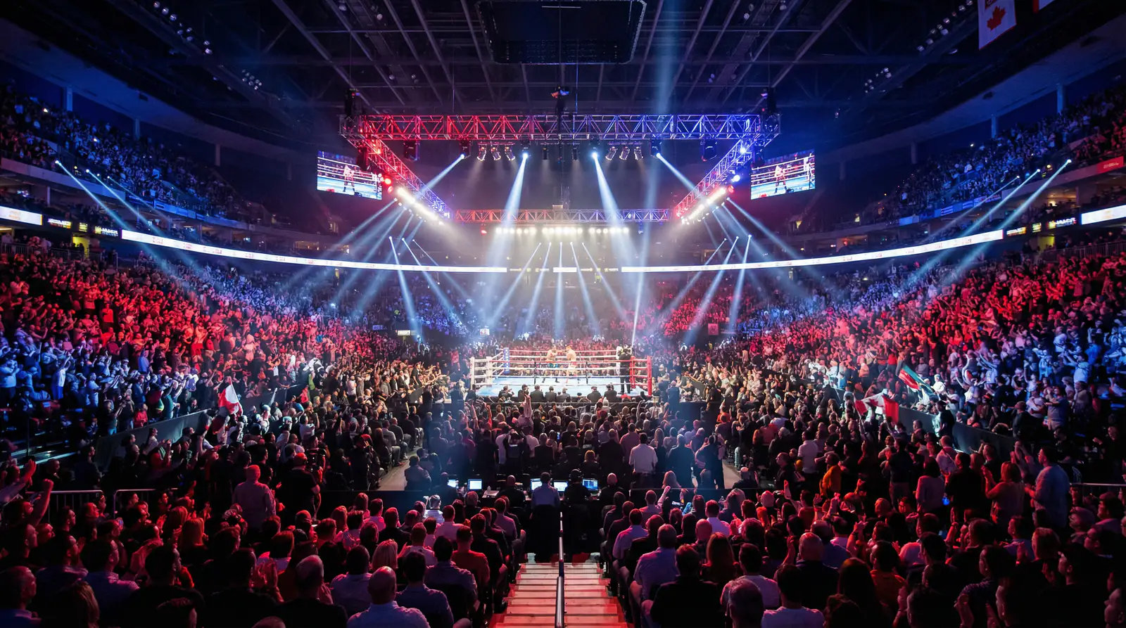 Público vibrante iluminado por los focos durante un combate de boxeo en directo en una arena